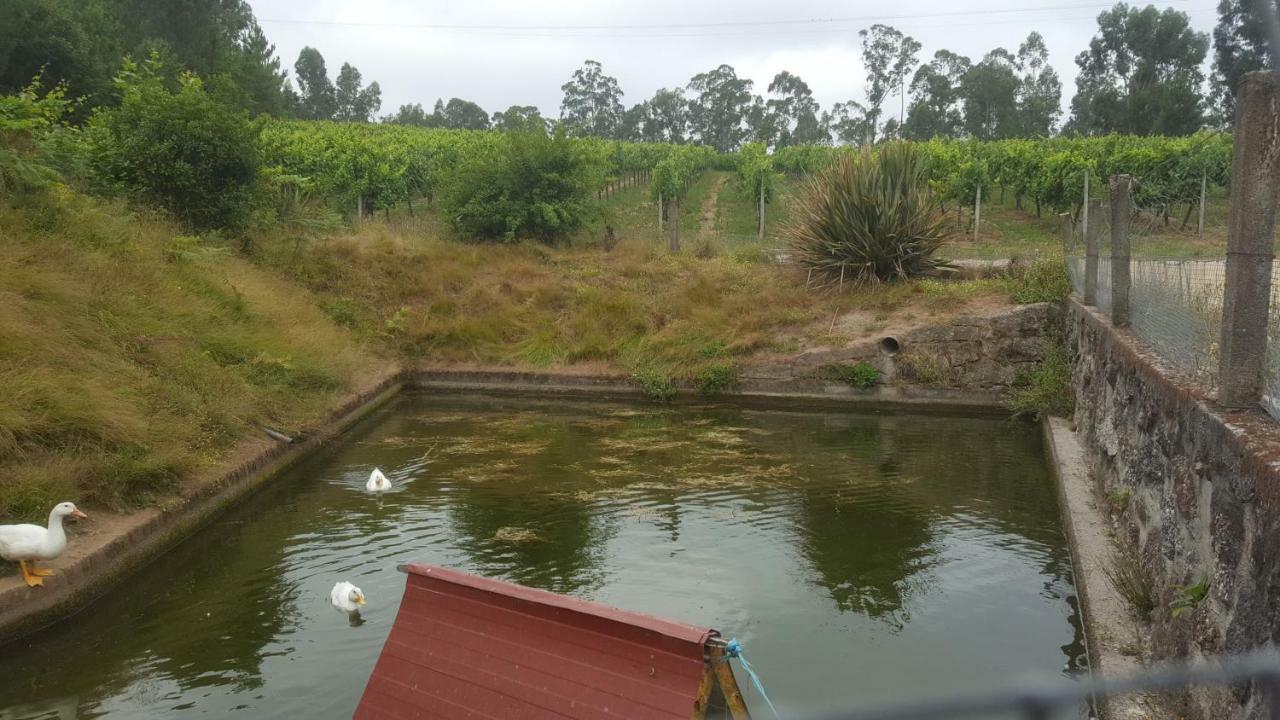 منزل الضيف فافي  في Quinta D'Areda Wine&Pool Experience المظهر الخارجي الصورة